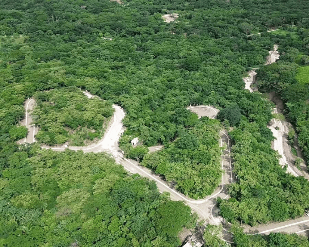 Aerial view of El Pochote neighborhood roads winding through the preserved canopy at Shift