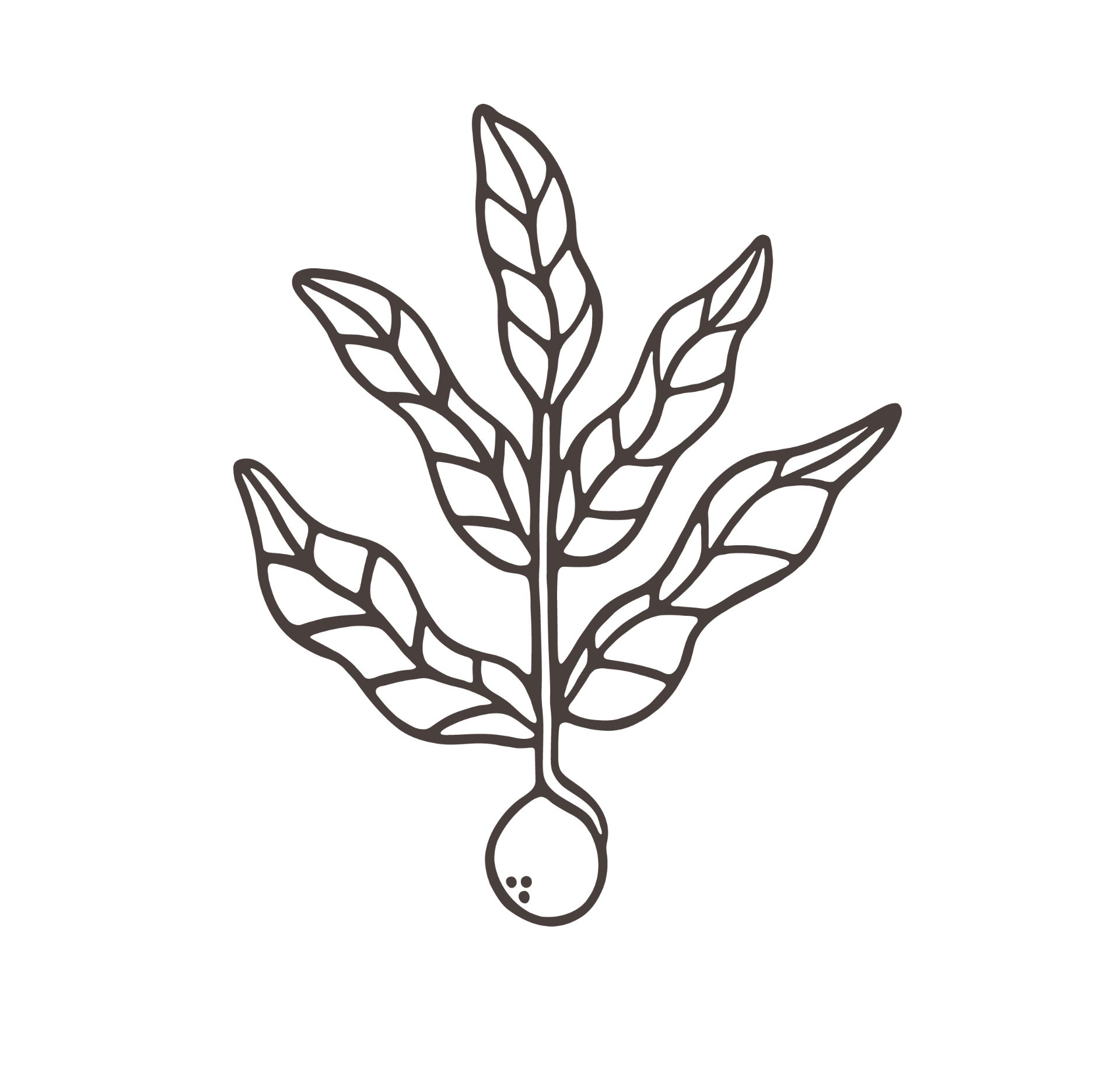 Leaf and drop emblem