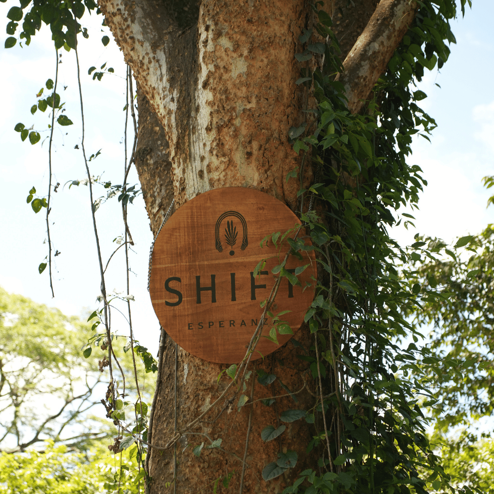 The Shift Esperanza masterplan across the property