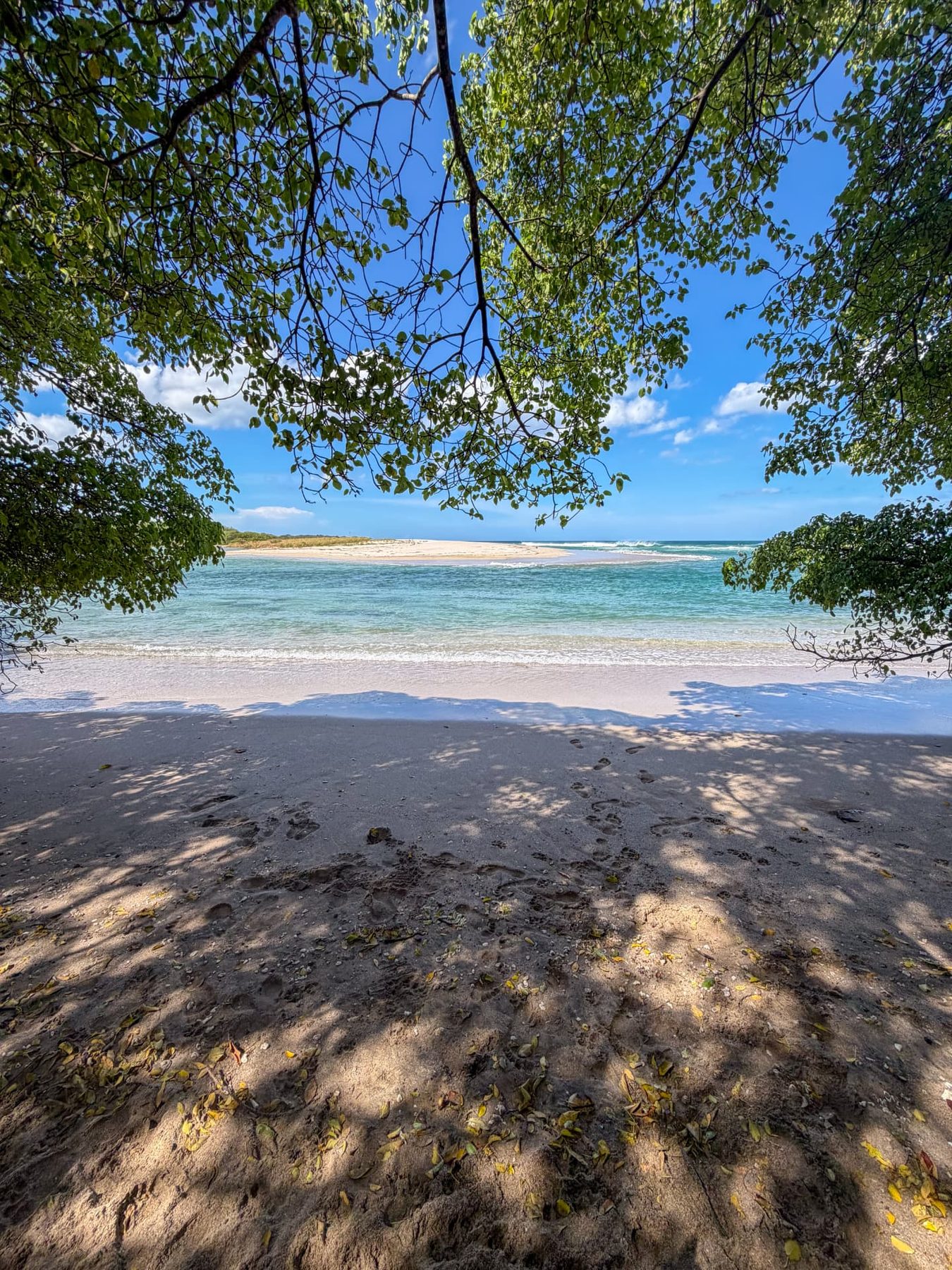 Jungle meeting the sea in Nosara